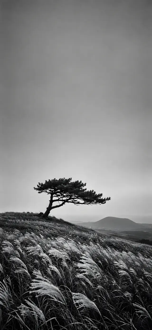 Lone Pine on the Oreum