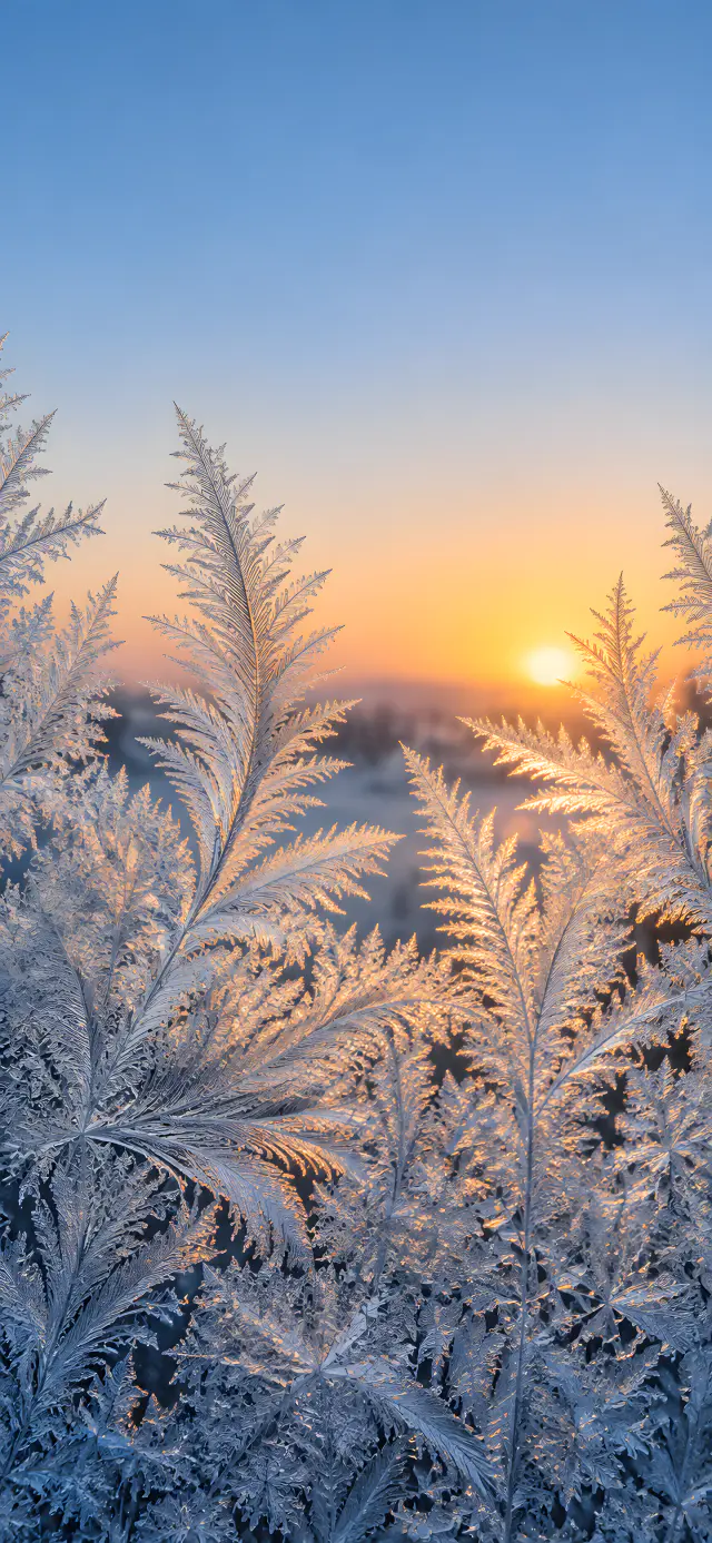 First Frost on Glass
