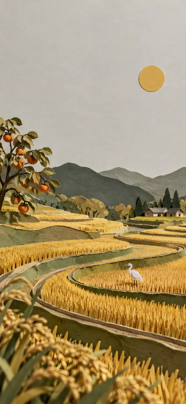Paper Rice Terraces at Harvest