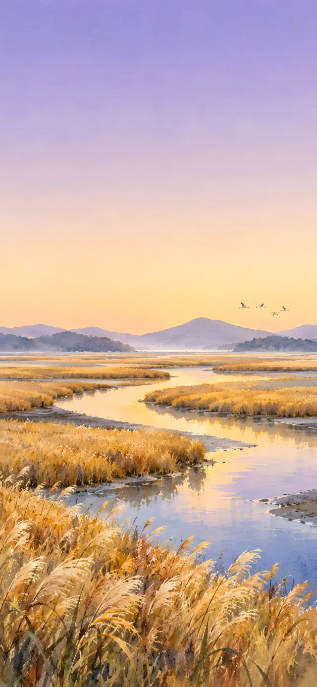Suncheon Bay Reeds