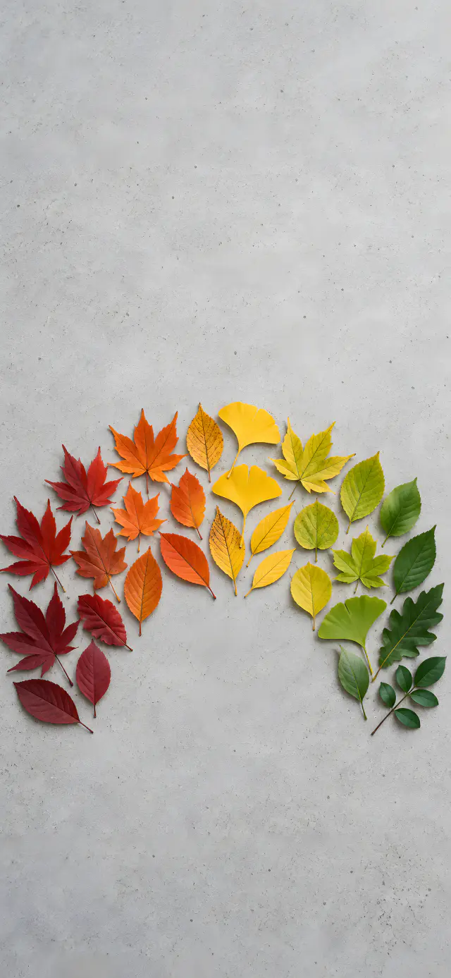 Spectrum of Fallen Leaves